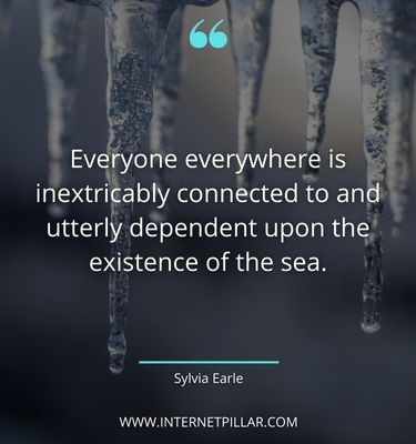 meaningful-quotes-about-exploration
