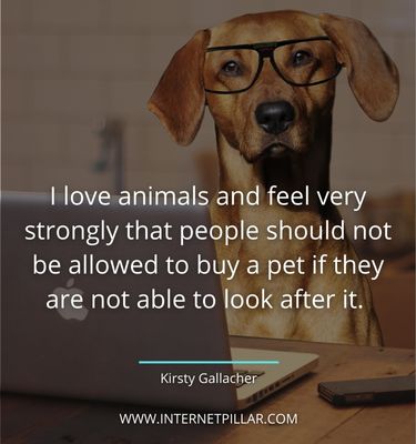 meaningful quotes about pet