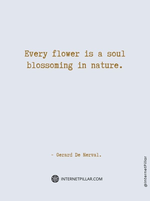 motivating-flower-quotes