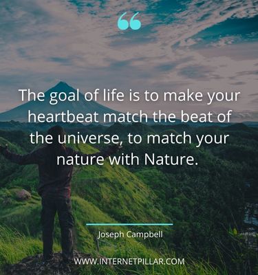 motivational quotes about universe
