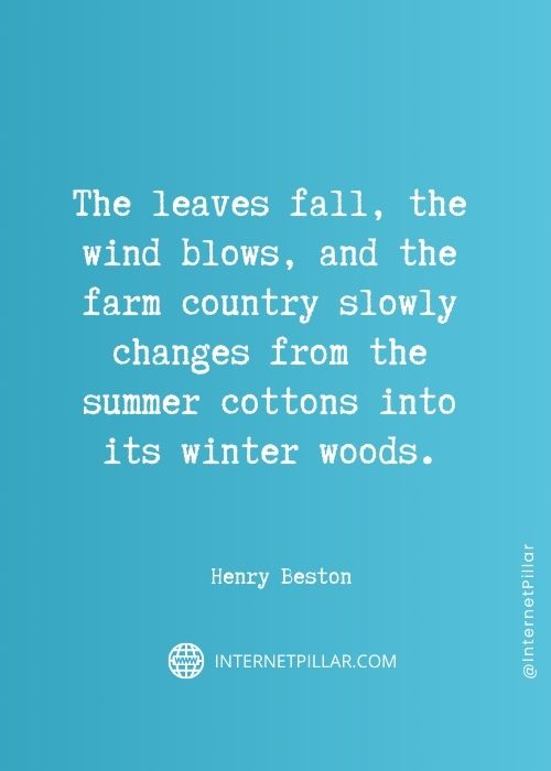 motivational-seasons-change-quotes