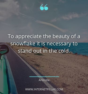 motivational snow quotes