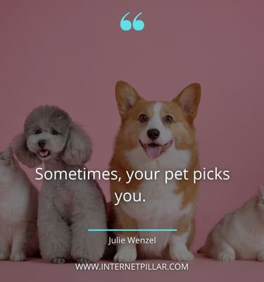 pet-quotes
