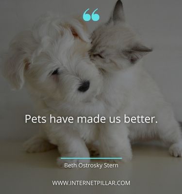 pet-sayings
