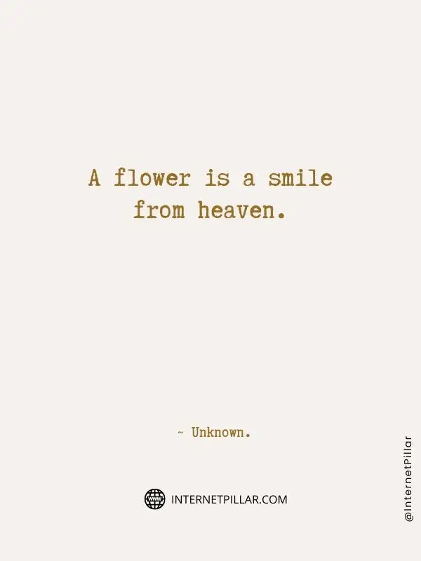 profound-flower-quotes
