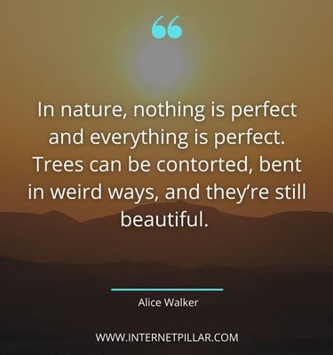profound-outdoor-quotes-sayings-captions-phrases-words
