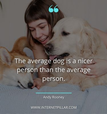 profound-pet-quotes
