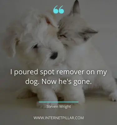 quotes about pet