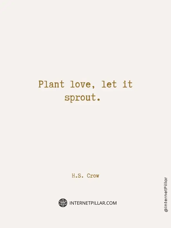 spread love quote