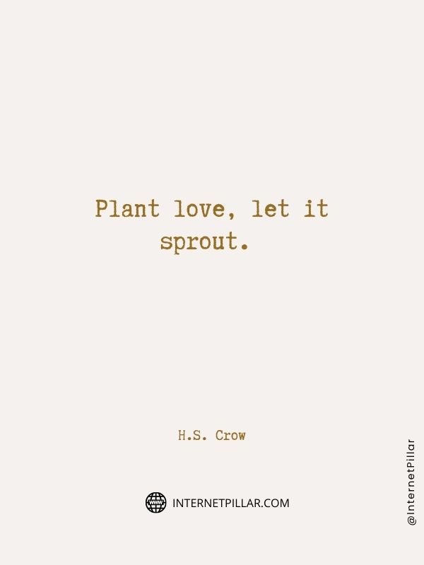 spread-love-quote
