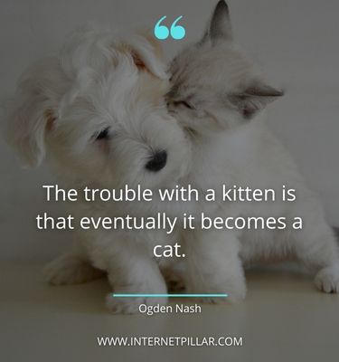 strong pet quotes