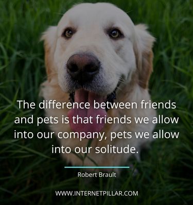 strong quotes about pet