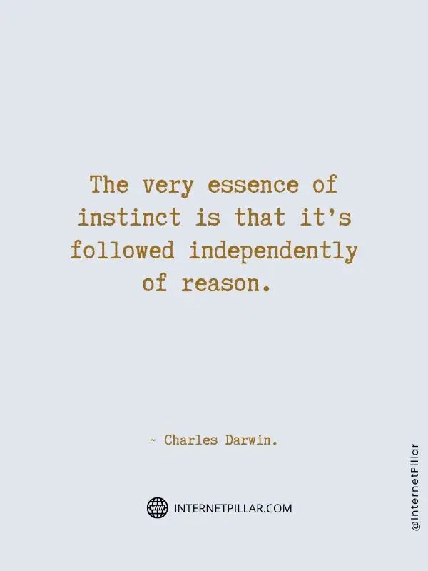 thought-provoking-instinct-quotes