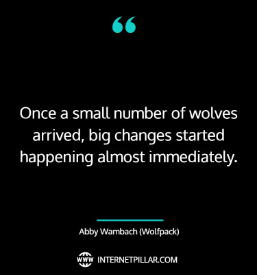 thought-provoking-quotes-about-wolfpack