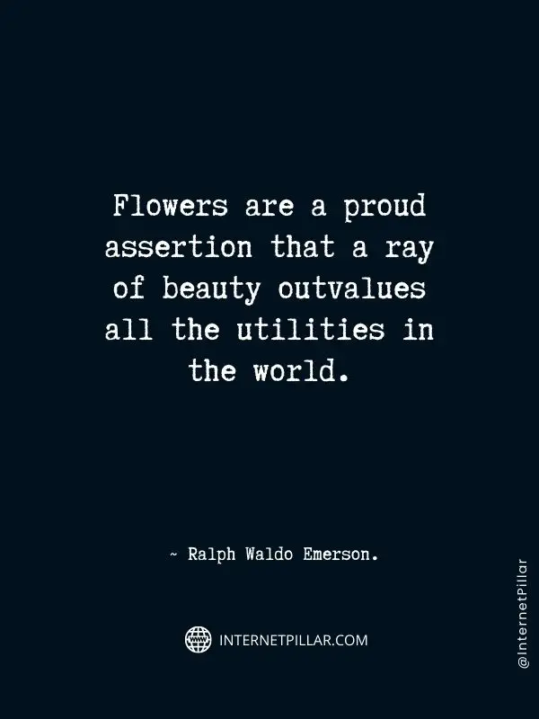 thought-provoking-quotes-sayings-about-flower