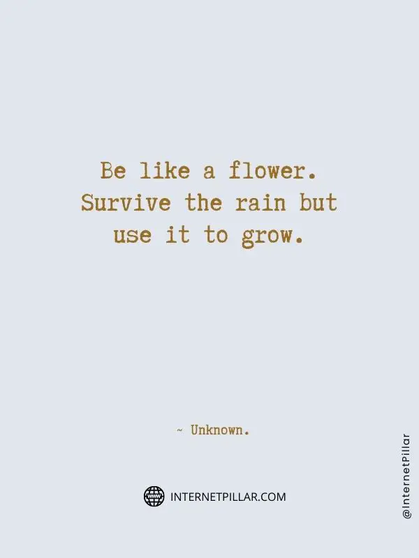 thoughtful-flower-quotes