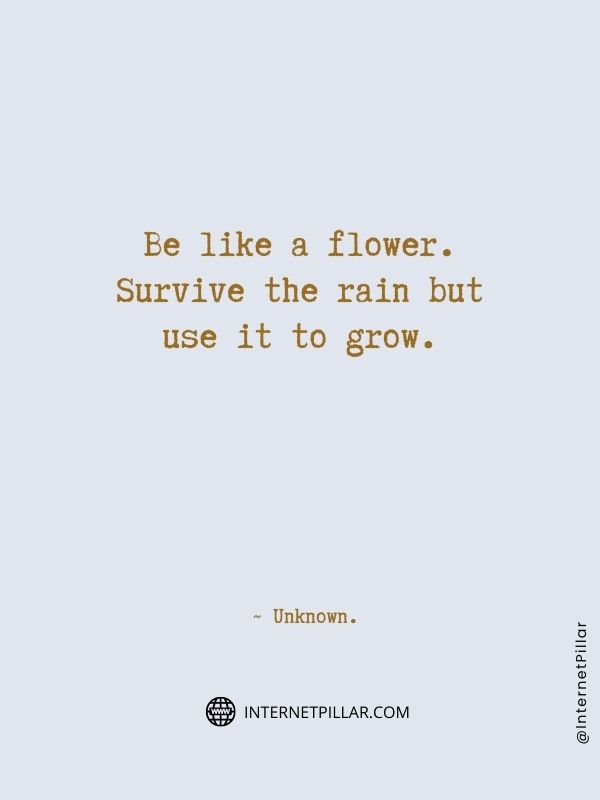 thoughtful-flower-quotes