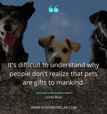 thoughtful pet quotes