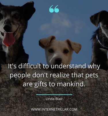 thoughtful-pet-quotes
