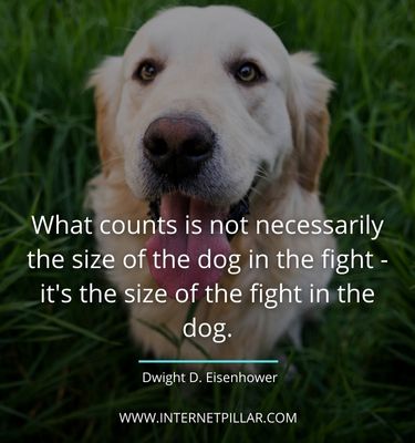 thoughtful-pet-sayings
