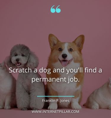 top-pet-quotes
