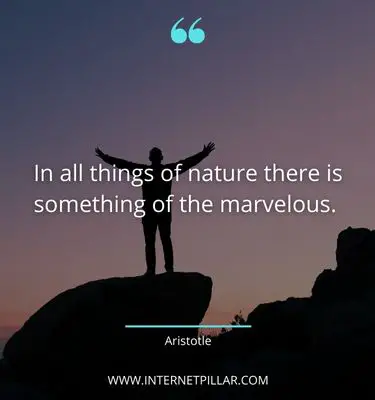 top-quotes-about-outdoor
