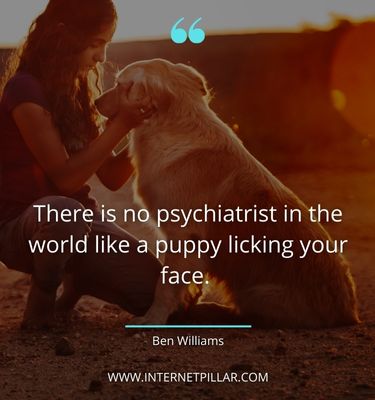 top quotes about pet