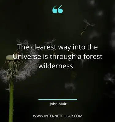 wise-outdoor-quotes
