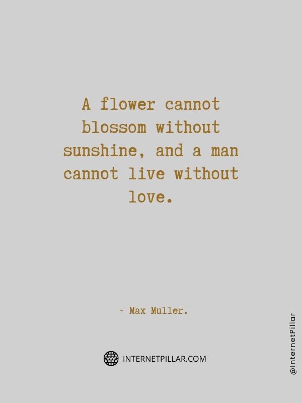 wise-quotes-about-flower