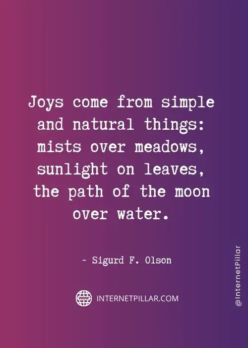 wise-quotes-about-joy
