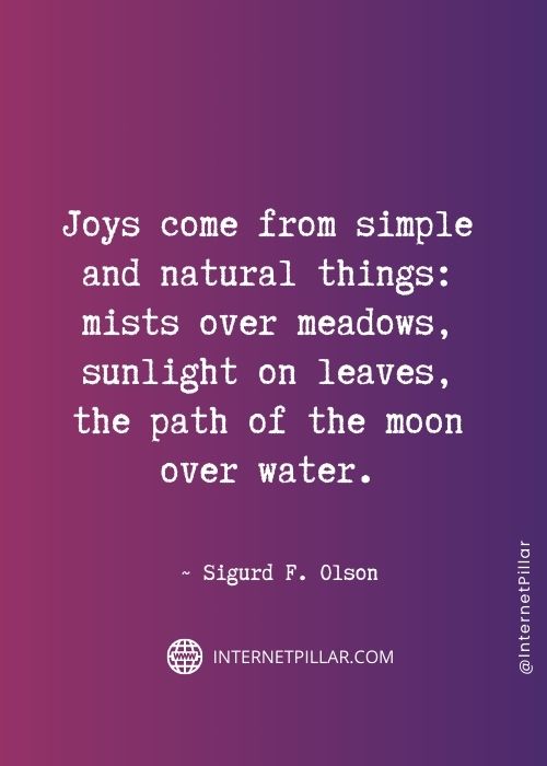 wise-quotes-about-joy