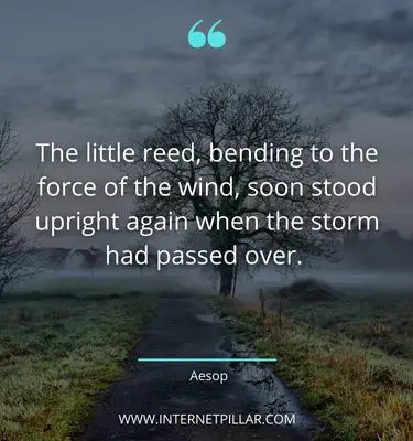 wise-quotes-about-storm
