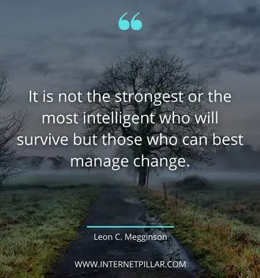 wise-quotes-about-survival
