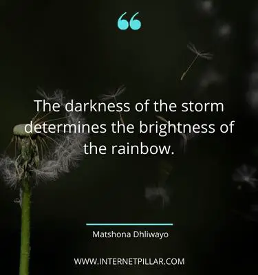 wise-storm-quotes
