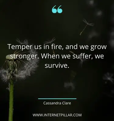 wise-survival-quotes

