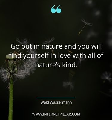 wise-universe-quotes
