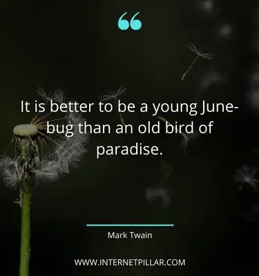 wise-youth-quotes
