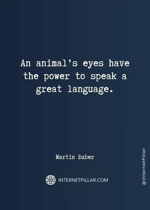 animal-lover-captions
