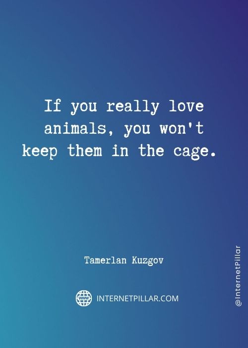 best-animal-lover-quotes
