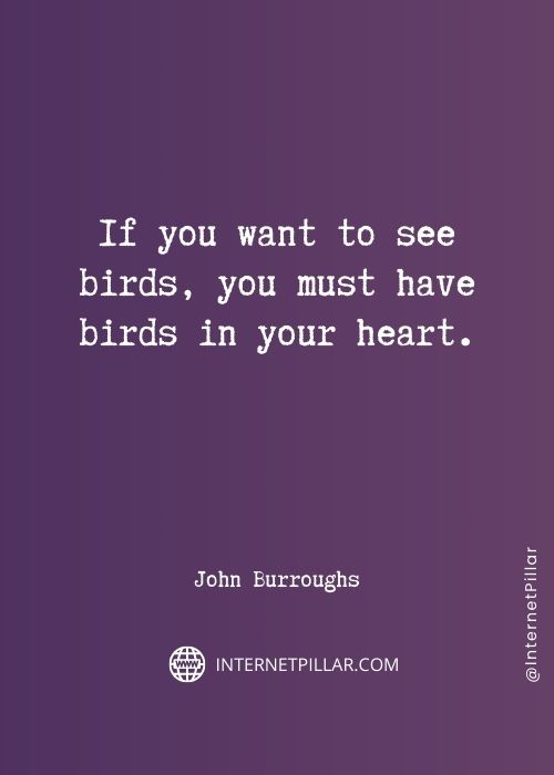 best birds quotes