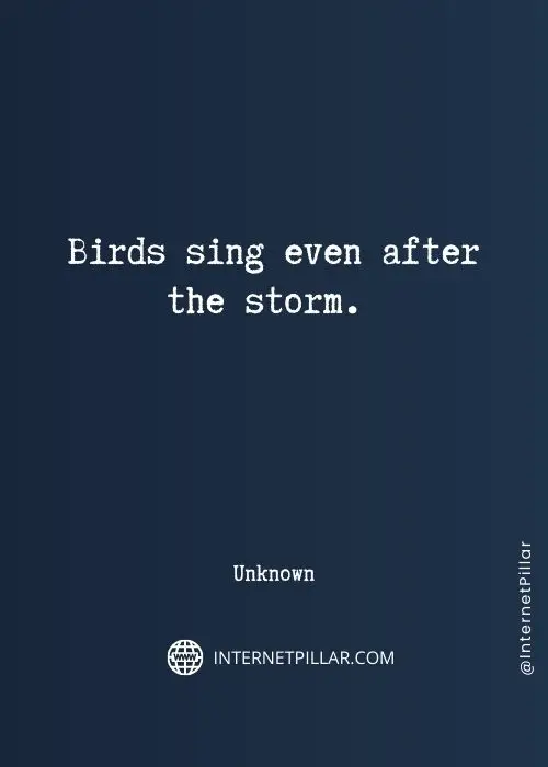 best birds sayings