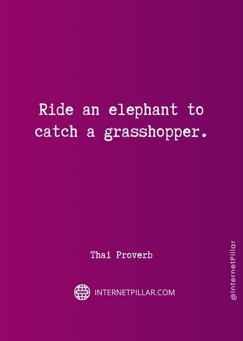 best-grasshopper-quotes
