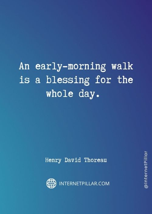 best-morning-glory-quotes
