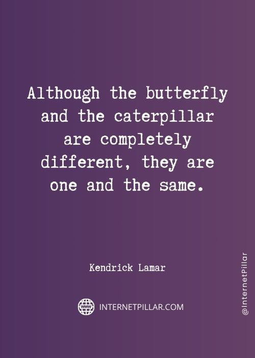 butterfly quotes