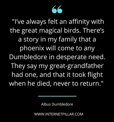 dumbledore sayings