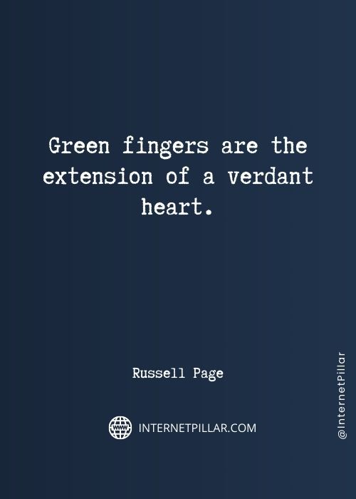 green-sayings
