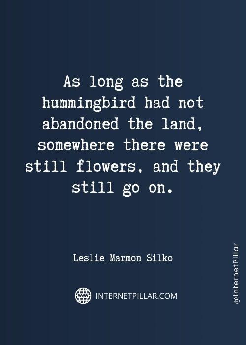 hummingbird-captions
