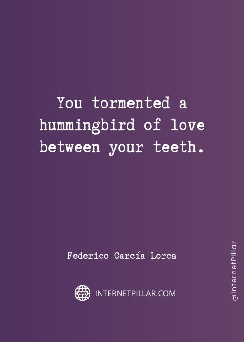 hummingbird-quotes
