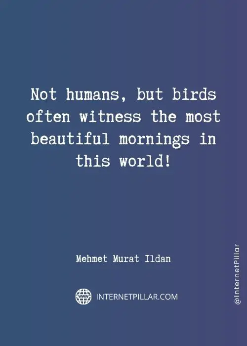 inspiring birds quotes