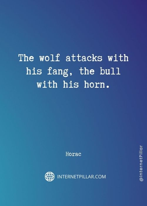 lone-wolf-captions
